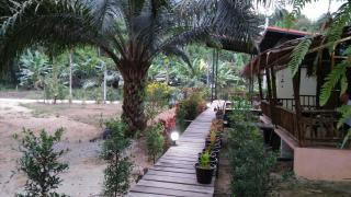 Khao Sok Residence Resort - Khao Sok - 6
