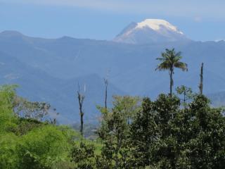 Finca El Topacio Circasia-Quindio - Circasia - 8