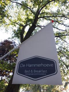 De Hammerhoeve - Dalfsen - 1