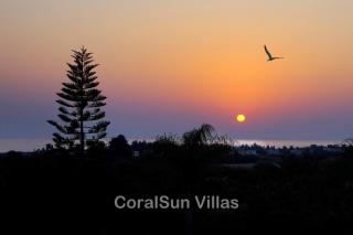 MAGIC CORAL VILLA 304 by Coral Sun Villa com - Peyia - 6