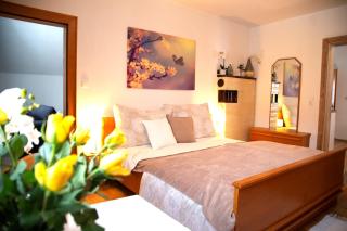 Apartments Marie A - Hallstatt - 0