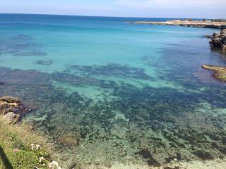 Villa Enzo - Monopoli - 8