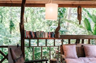 Star Mountain Jungle Lodge - Only 4x4 Vehicles, No Meals - 9