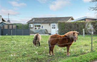 Amazing Home In Otterup With Wifi - Otterup - 9