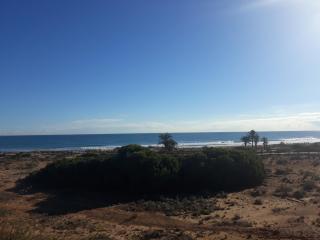 SANGRIA - Arenales del Sol - 1