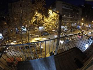 Lagaza's home pekini - Tbilisi - 1