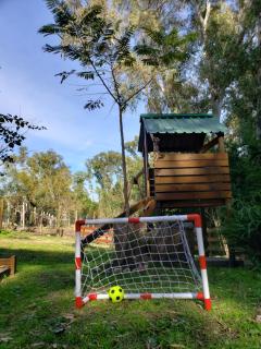 Pinar de Hurtado - 9