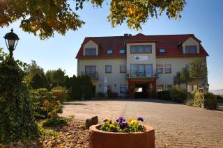 Fetzers Landhotel - Ingelheim am Rhein - 6
