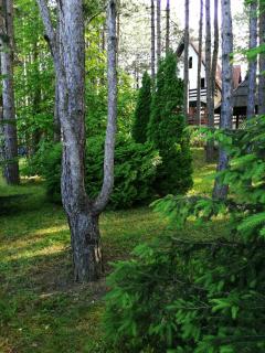 Vila Vera - Zlatibor - 1