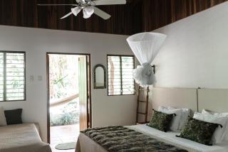 Star Mountain Jungle Lodge - Only 4x4 Vehicles, No Meals - 2