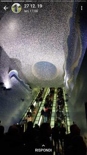 Toledo Street B&b - 4