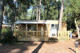 Green Resort - 4