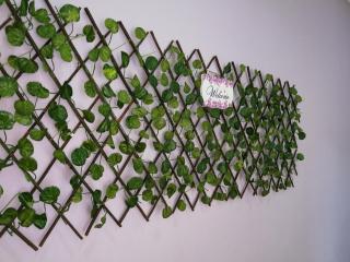 The Garden Vacation Home - Lumut - 9
