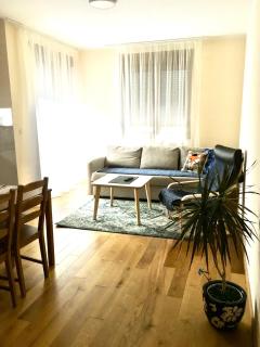 Apartman Zlatibor spa - Zlatibor - 6