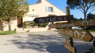 Les Bougainvillées de Camargue - 8