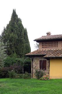 Poggetto Masino - Suvereto - 2