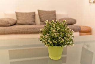 Raday Prime Exclusive Budapest - 5