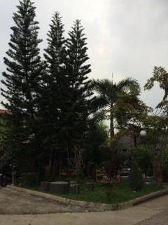 Grand Ciwareng Inn Hotel and Resort - Pasarsenen - 6