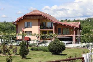 Casa de vacanta Madalina - Novaci-Străini - 0