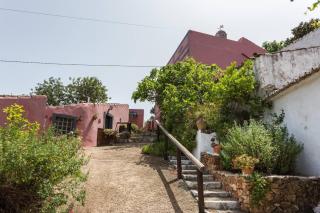 Casa Adega - Quinta Amoreira - Faro - 6