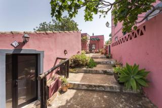 Casa Adega - Quinta Amoreira - Faro - 3