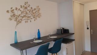 "Monplaisir", parking, canapé-lit neuf confortable, idéal voyages d'affaires et tourisme, proximité commerces, gare, Université Lyon 3 , Tram T2, T4 et C25 - 2