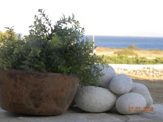 Villa Petradi (150 meters from the sea) - Ambelas - 2
