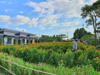 Maharak Resort - Nong Khai - 9
