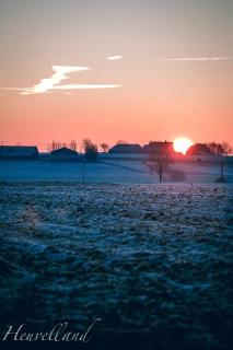 'T Wolvennest - Heuvelland - 6