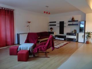 Apartament 2 camere in Alphaville Racadau - Braşov - 7