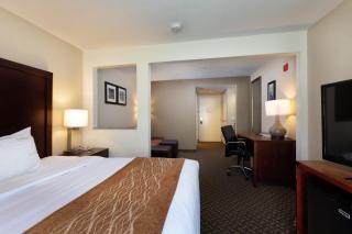 Comfort Inn & Suites SW Houston Sugarland - 3