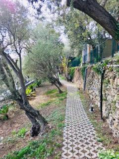 Agriturismo Le Pale - Bogliasco - 9