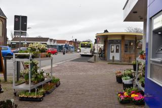 Bas Apartment Egmond aan Zee - 4