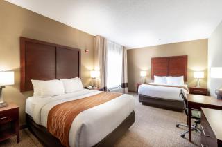 Comfort Inn & Suites Love Field-Dallas Market Center - 9