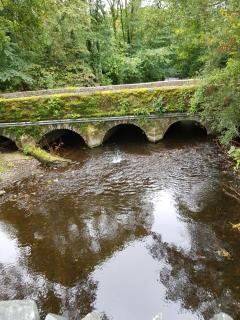 Edith Grove House - Killarney - 9