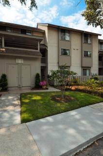 53 Springwood Villas - Hilton Head Island - 3