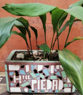 Hotel La Piedad - 6