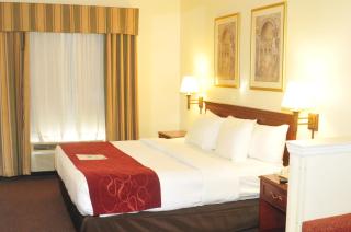 Comfort Suites Newark - Harrison - 9