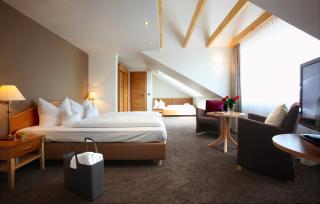 Wiedemann's Weinhotel - Sankt Martin - 6