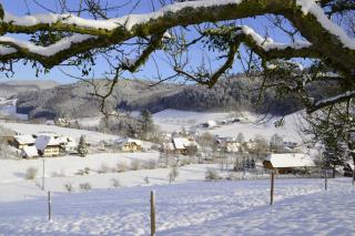 Ferienhaus Gehring - Schuttertal - 4