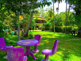 Hotel Birds View - 2