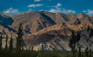 The Nature Residency - A Riverside Resort in Leh - 4