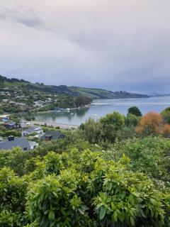 Tui2 Macandrew Bay - Dunedin - 8