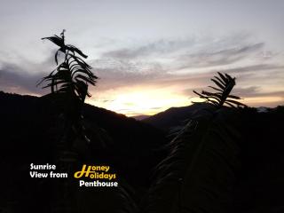 Honey Holiday Penthouse - 1