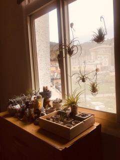 Matsu B&B - Nangan - 3