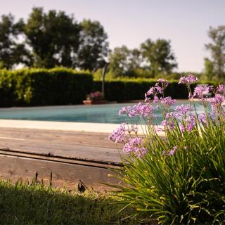 Agriturismo I Tre Fossi - Magliano in Toscana - 7