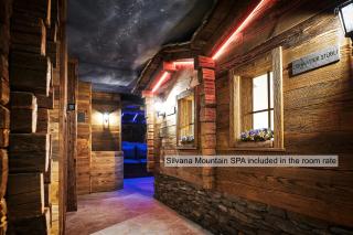 Silvana Mountain Hotel - Zermatt - 5