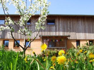 Hof-Solgaard - 2