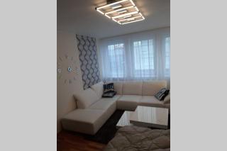 Prague apartment in Most near Golf club, aqua-hipo-autodrom in Most - Most - 7