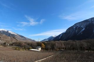 BnB Vino Veritas - Salgesch - 3